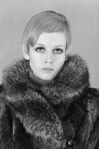 Twiggy Jigsaw Puzzle picture 73060
