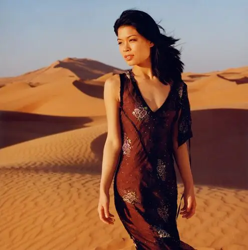 Vanessa Mae Jigsaw Puzzle picture 20438