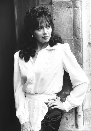 Vicki Michelle Wall Poster picture 333598