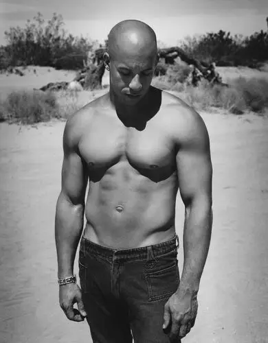Vin Diesel Wall Poster picture 488036