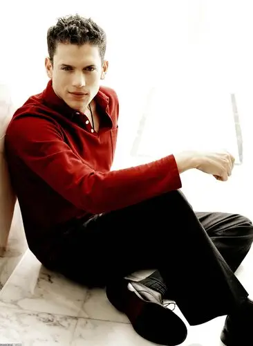 Wentworth Miller Jigsaw Puzzle picture 20641
