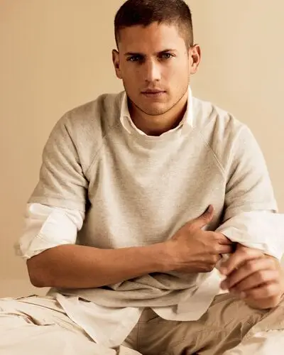 Wentworth Miller Wall Poster picture 20645