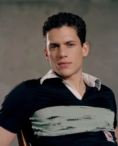 Wentworth Miller Wall Poster picture 20668