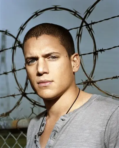 Wentworth Miller Wall Poster picture 20684