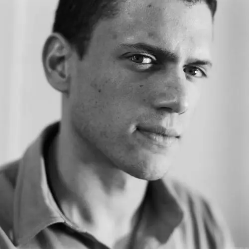 Wentworth Miller Wall Poster picture 20686