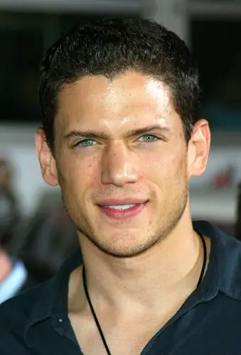Wentworth Miller Wall Poster picture 49683