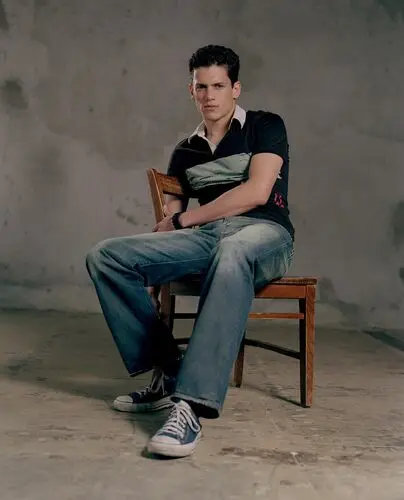 Wentworth Miller Wall Poster picture 49690
