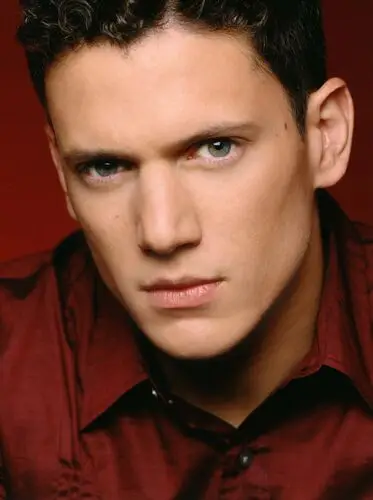 Wentworth Miller Wall Poster picture 526449