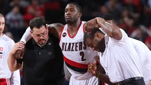 Wesley Matthews Wall Poster picture 718104