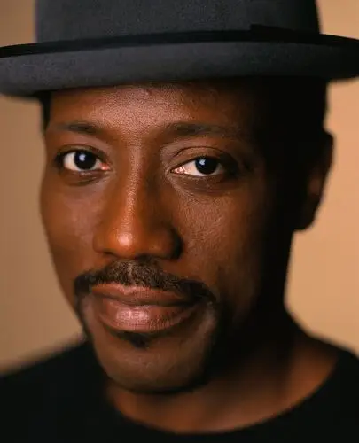 Wesley Snipes Wall Poster picture 483860