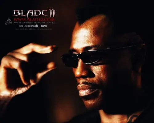 Wesley Snipes Wall Poster picture 78296