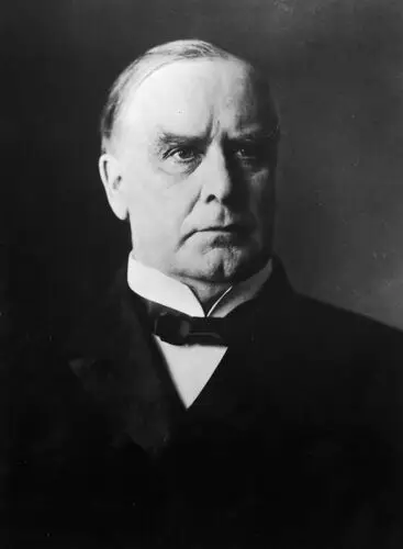 William McKinley Wall Poster picture 478709