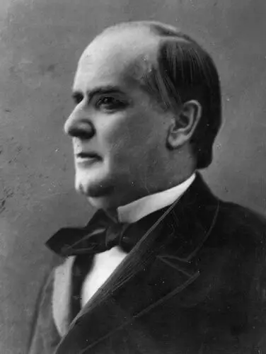 William McKinley Wall Poster picture 478710