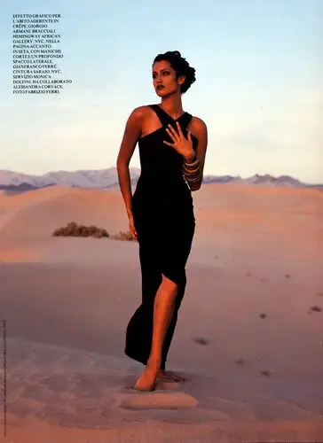 Yasmeen Ghauri Wall Poster picture 70105