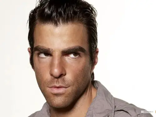 Zachary Quinto Wall Poster picture 20762
