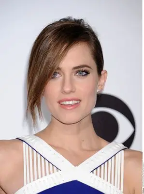 Allison Williams (events) Wall Poster picture 290598