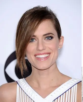 Allison Williams (events) Wall Poster picture 290603