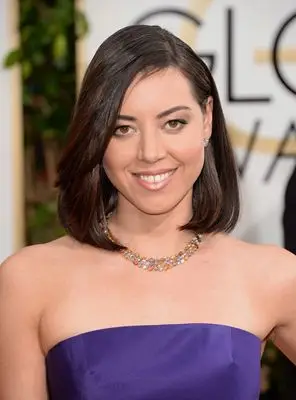 Aubrey Plaza (events) Wall Poster picture 290931