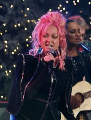 Cyndi Lauper (events) Jigsaw Puzzle picture 100715