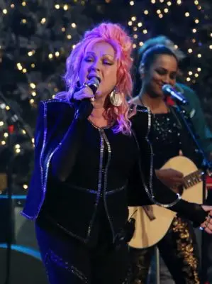 Cyndi Lauper (events) Wall Poster picture 100719