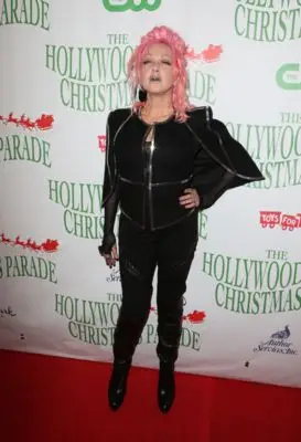 Cyndi Lauper (events) Jigsaw Puzzle picture 100733
