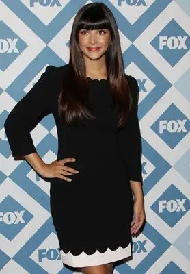Hannah Simone (events) Wall Poster picture 291140