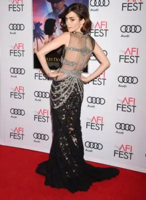Lily Collins (events) Wall Poster picture 105497