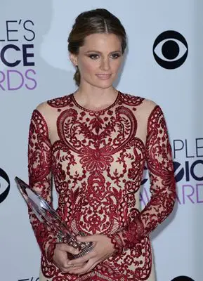 Stana Katic (events) Computer MousePad picture 297414