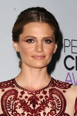 Stana Katic (events) Fridge Magnet picture 297421