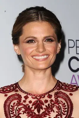 Stana Katic (events) Fridge Magnet picture 297422