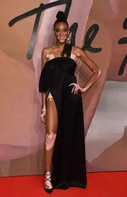Winnie Harlow (events) Wall Poster picture 110888