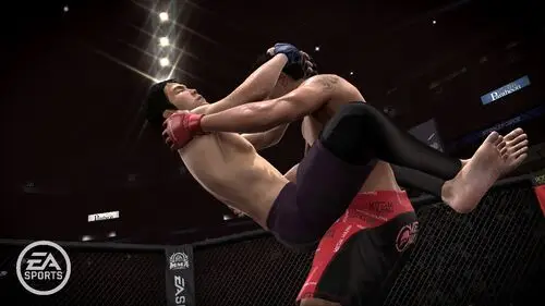 EA sports mma 2 Wall Poster picture 107386