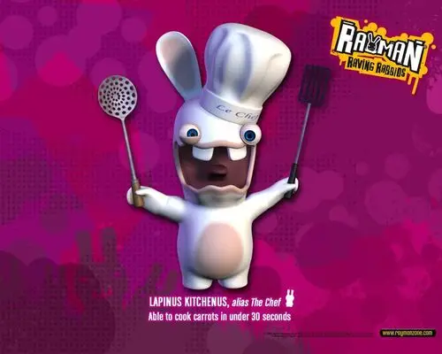 Rayman Raving Rabbids Fan Wall Poster picture 106119