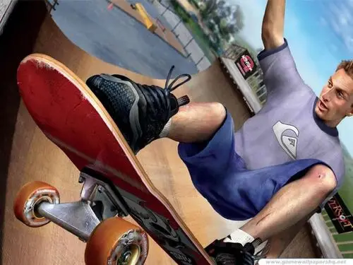 Tony Hawk Wall Poster picture 107631