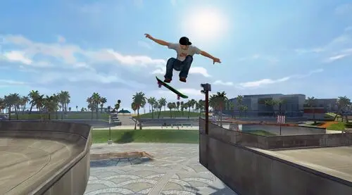 Tony Hawk Wall Poster picture 107633
