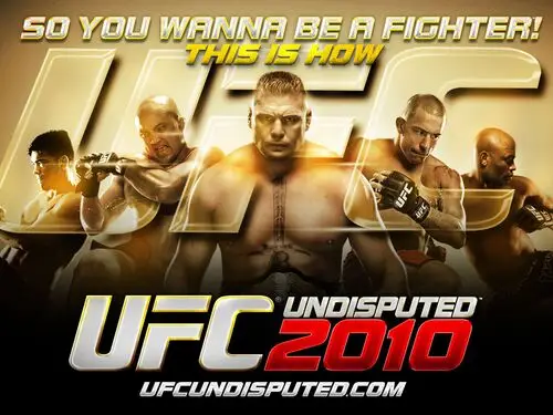 UFC 2010 Undisputed Jigsaw Puzzle picture 107643