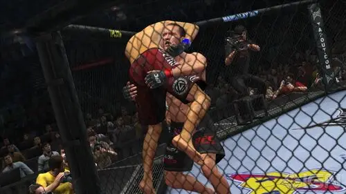 UFC 2010 Undisputed Jigsaw Puzzle picture 107656