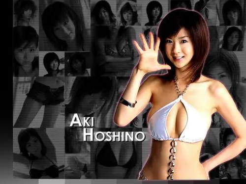 Aki Hoshino Fridge Magnet picture 93800