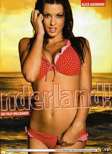 Alice Goodwin Wall Poster picture 24605