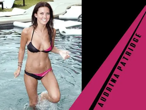 Audrina Patridge Wall Poster picture 127919