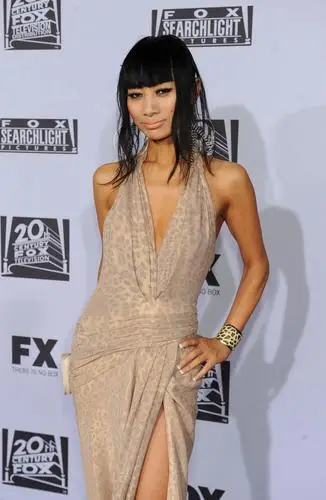 Bai Ling Wall Poster picture 132297