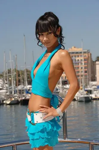 Bai Ling Jigsaw Puzzle picture 29611