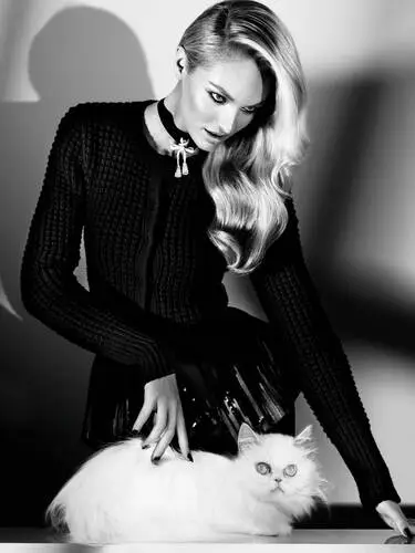 Candice Swanepoel Wall Poster picture 186497