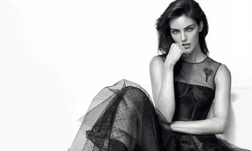 Hilary Rhoda Wall Poster picture 685424