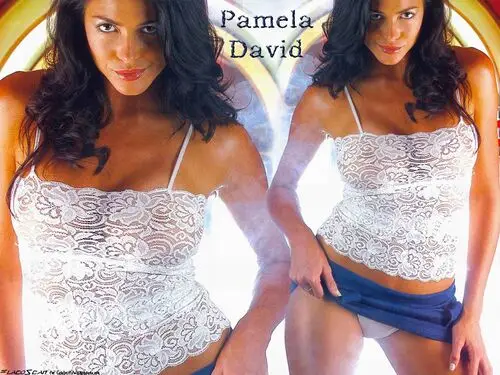 Pamela David White T-Shirt - idPoster.com