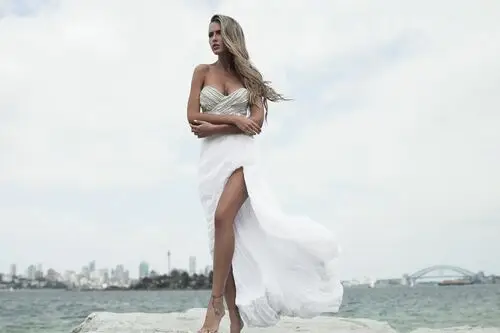 Renee Somerfield Wall Poster picture 309739