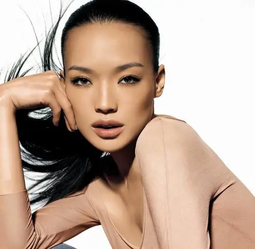 Shu Qi Jigsaw Puzzle picture 389487