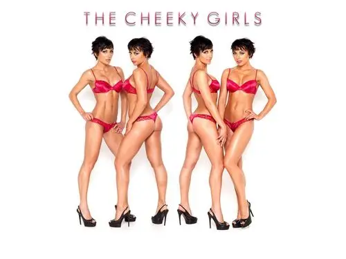 The Cheeky Girls Computer MousePad picture 335575