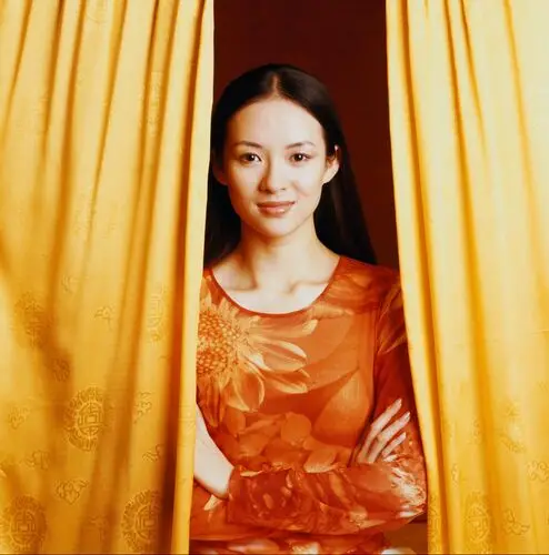 Zhang Ziyi Wall Poster picture 554039