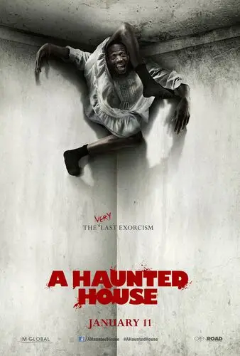 A Haunted House (2013) Wall Poster picture 501044